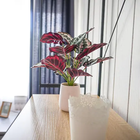 Apartment Komfort Mit Großem Balkon, Parkplatz&wifi - Nord Bremen